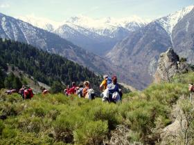 photo coins arrondis